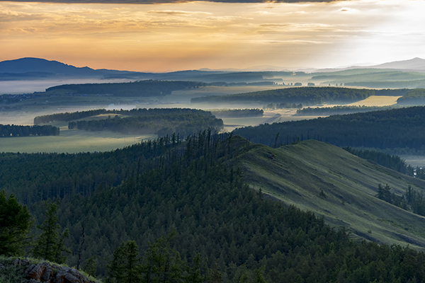 Окружающая природа